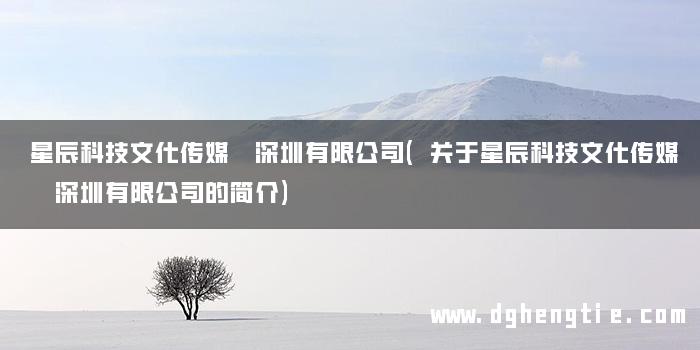 星辰科技文化传媒 深圳有限公司(关于星辰科技文化传媒 深圳有限公司的简介)